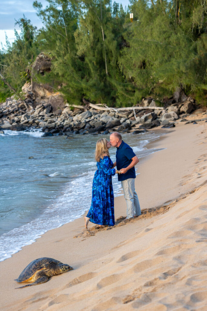 Romantic Maui photo session with Hawaiian turtle (honu)