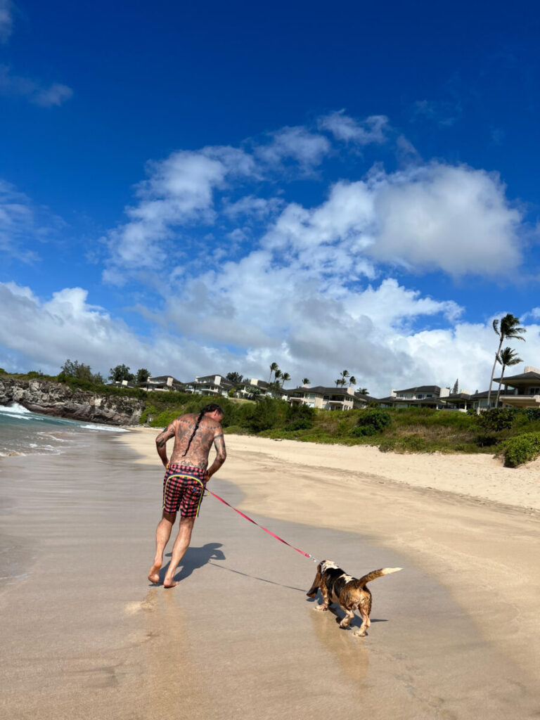 Man walking his dog along a quiet sandy shoreline under bright blue skies and palm trees at Ironwoods Beach